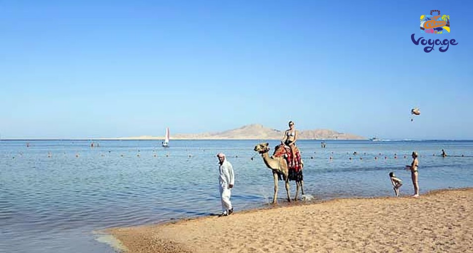 Шарм эль шейх на новый год погода отзывы Шарм эль шейх на новый год погода отзывы