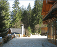 Карпатская вилла