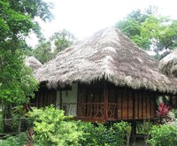 Sacha Lodge