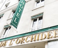 Orchidee