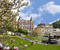 Danubius Health Spa Resort Hvezda