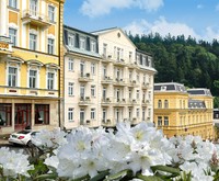 Danubius Health Spa Resort Imperial