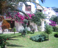 Lidia Villa