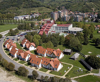 Lipov Gaj