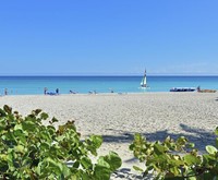 Melia Las Americas Hotel